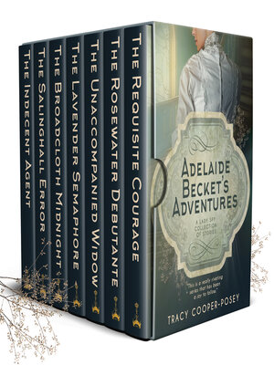 cover image of Adelaide Becket's Adventures